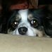Profile Picture of Michael Dearing (@michael.dearing.5) on Facebook