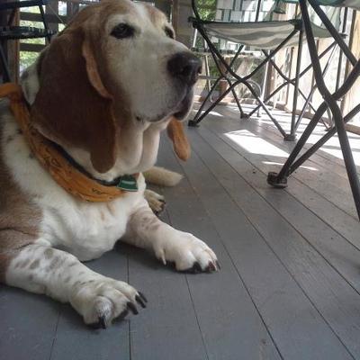 Profile Picture of Kim Hollister (@KimHollister) on Twitter