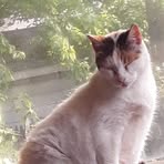 Profile Picture of Bailey Csygan (@bailey.csygan) on Facebook