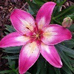 Profile Picture of joyce clark (@joyce_clark_121) on Instagram