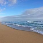 Profile Picture of Nancy Hutson (@nancy.hutson) on Instagram