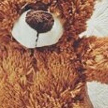 Profile Picture of Cortney Gilles (@cortneygilles8) on Twitter