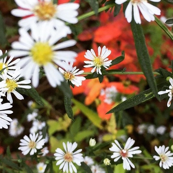 Profile Picture of Alex Vega (@pit_steelers) on Poshmark