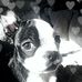 Profile Picture of Joseph Durrett (Ricky Durrett) (@joseph.durrett.90) on Facebook