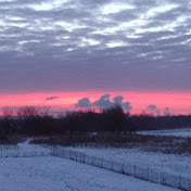 Profile Picture of Cathy Klein (@cathyklein3533) on Youtube