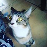 Profile Picture of Nicholas crane (@nickcrane276) on Instagram