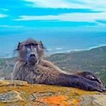 Profile Picture of Graham Howard (@graham.howard.716) on Instagram