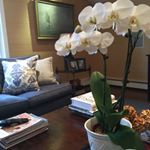 Profile Picture of Sarah Weaver Hartigan (@sarahweaverinteriors) on Instagram