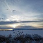 Profile Picture of Scott Trueblood (@truebloodscott) on Instagram