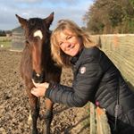 Profile Picture of Jo Matthews (@johann_matthews) on Instagram