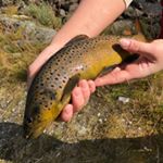 Profile Picture of Robin Martinsen (@robinmartinsenn) on Instagram