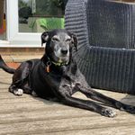 Profile Picture of Mike Hutchison (@mikejohnhutchison) on Instagram