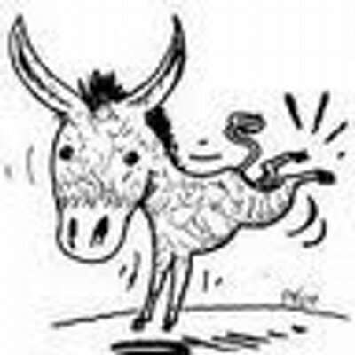 Profile Picture of Alexander N. Spitzer (@alex_spitzer) on Twitter