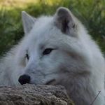 Profile Picture of Stephanie Badaire Bouvard (@badairebouvard) on Instagram