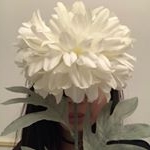 Profile Picture of Yaya Chrun (@yayachrun) on Instagram