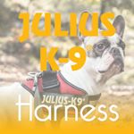 Profile Picture of Juliusk9harness.com (@juliusk9harness) on Instagram