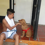 Camilo Zapata - Youtube Profile Picture of Camilo Zapata (@camilozapata227) on Youtube