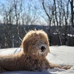 Profile Picture of marc.savaria (@marc.savaria) on Instagram