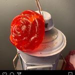 Profile Picture of Kimberly Strobel (@seifebykimberly) on Instagram