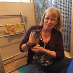 Profile Picture of Sharon Tyrrell (@sharont1957) on Instagram