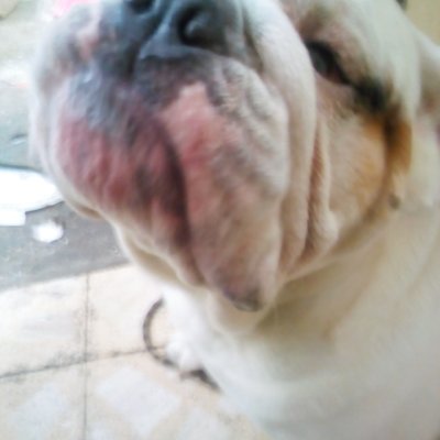 Profile Picture of Aaron Mendez Colin (@Aaronmendezcol3) on Twitter