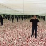 Profile Picture of Erik Schellenberg (@schellenbergerik) on Instagram