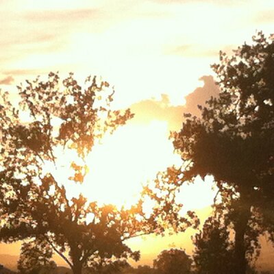 Profile Picture of Kim Henry (@kahwmc92) on Twitter