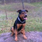 Profile Picture of Thomas Weed (@thomas.weed.16) on Instagram