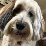 Profile Picture of Darren Hussey (@darren.hussey.1466) on Instagram