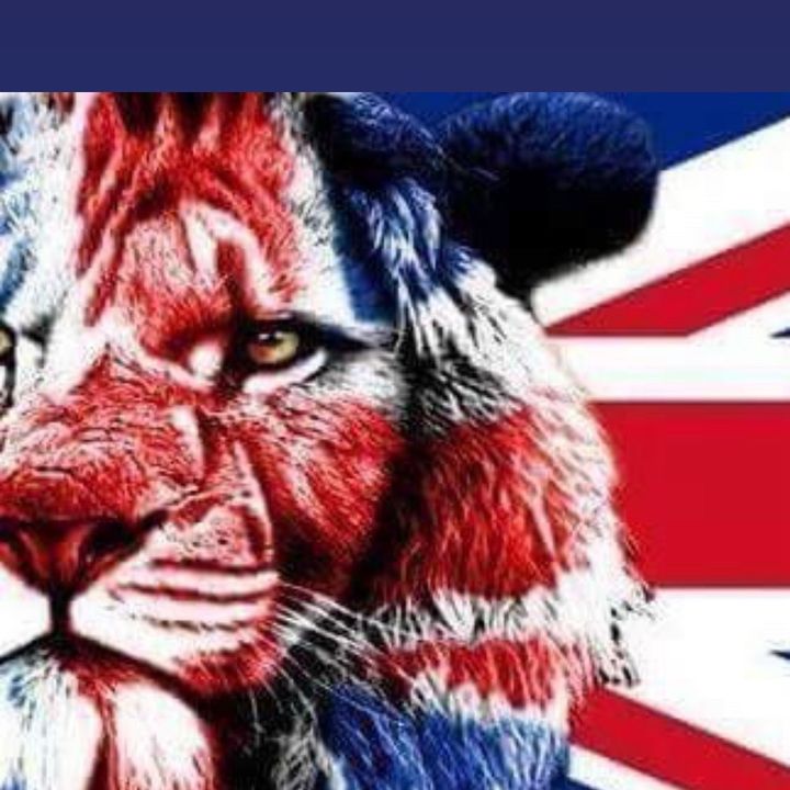 Profile Picture of Stephen Ferrier (@feztheferret) on Tiktok