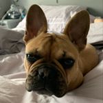 Profile Picture of Paul Pender (@pender2323) on Instagram