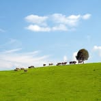 Profile Picture of Aimée Brousseau (@Aimée-Brousseau) on Facebook