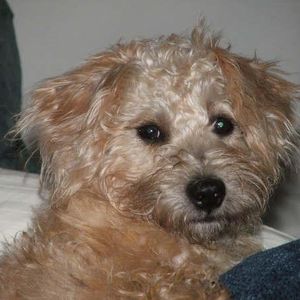 Profile Picture of Lynn Hickman (@charliesmom2) on Myspace