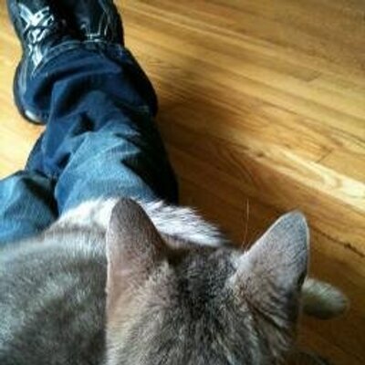 Profile Picture of Christopher  Hone (@ChrislHone) on Twitter