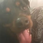 Profile Picture of Jack Learned (@Jack-Learned) on Facebook