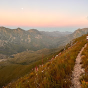 Profile Picture of Nathan Van Coller (@nathan_van_coller) on Youtube