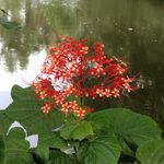 Profile Picture of Fahima Sultana Chowdhury (@fahima_sultana_) on Instagram