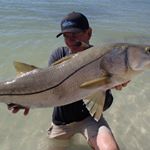 Profile Picture of scott sadorf (@persistence_wins) on Instagram