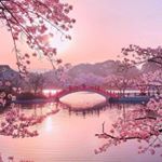 Profile Picture of Javeria Khan (@jerry_khan20) on Instagram