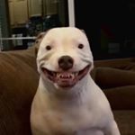 Profile Picture of David Seth (@davidseth86) on Instagram