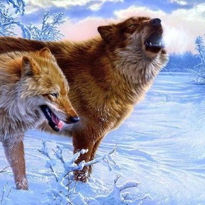 Profile Picture of Dave Trent  🇷🇼 (@Dave95497408) on Twitter