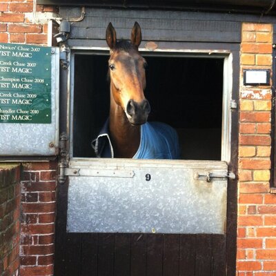 Profile Picture of Michael Higgs (@thegiggs007) on Twitter