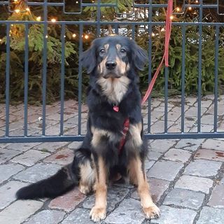 Profile Picture of Gervais Hermann (@Gervais.Hermann.67) on Facebook