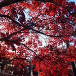 Profile Picture of Erik Feldmann (@erik_feldmann) on Instagram