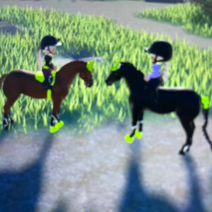 Profile Picture of Stridaway (@4ny243) on Tiktok