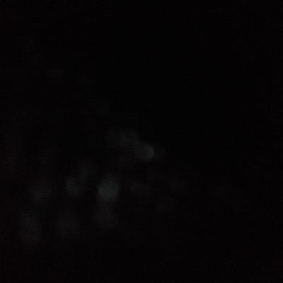 Profile Picture of Boring Brad Marks (@BoringBradMarks) on Twitter
