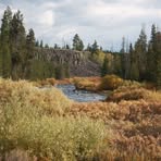 Profile Picture of Janet Hammond Sheffield (@janet.hammond.sheffield) on Facebook