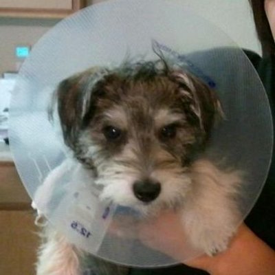 Profile Picture of David Wolfe (@wolfman5450) on Twitter