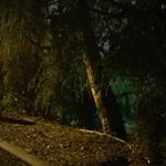 Profile Picture of Aaron Barkman (@ron_c_b) on Instagram