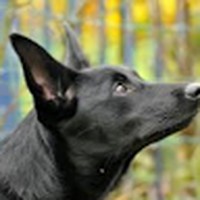 Profile Picture of Benjamin Toby (@benjamin-toby-2) on Quora